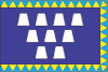 Flag of Drohobych