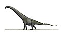 Futalognkosaurus