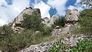 Vu dans les gorges de l'Ardèche