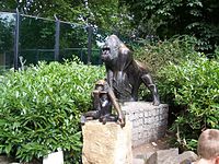 Gorilla met jong (1993) in dierentuin Artis, Amsterdam