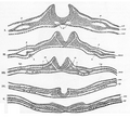 Pisipilt versioonist seisuga 4. aprill 2024, kell 13:15