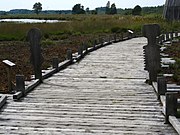 Großes Torfmoor Bridge