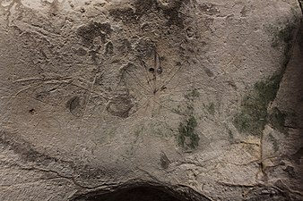 Grotta della Signorare barrualdeko inskripzioak