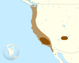 Kaliforniankondorin levinneisyysalue