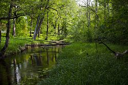 Kuivajõgi river in Harmi Manor park