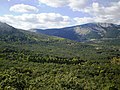 Miniatura para Paraje pintoresco del Pinar de Abantos y Zona de La Herrería