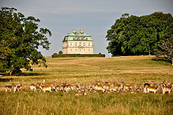 Královský lovecký zámeček Hermitage (v popředí stádo jelenů)