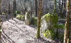 Image illustrative de l’article Cromlech nord de Kerlescan