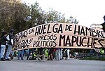 Miniatura para Huelgas de hambre de comuneros mapuches de 2010 y 2011