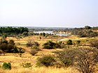 Okavango bei Rundu