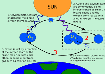 The ozone cycle Ozone cycle.svg