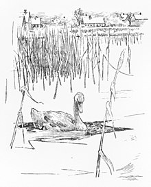 In "The Ugly Duckling", the winter cold causes the duckling to become frozen in an icy pond. The duckling is rescued by a farmer. Page 231 of Fairy tales and stories (Andersen, Tegner) (cropped).jpg