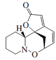 Imagen de la estructura