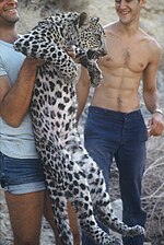 Mladý jedinec levharta arabského je držen mužem při výzkumu levhartů v Judské poušti v 80. letech 20. století.