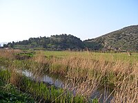 Ο λόφος με τον μεσαιωνικό πύργο που βρίσκεται πάνω από τον οικισμό, όπως φαίνεται από την Κωπαΐδα.