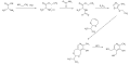 Pyridoxin Synthese 3