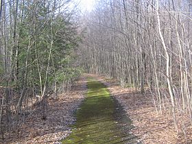 Gibson Township (comté de Cameron, Pennsylvanie)