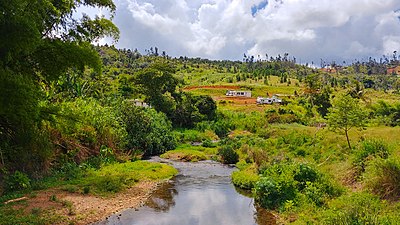 Río Grande de Manatí from PR-802 bridge