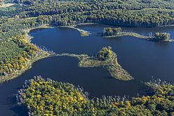 73. Platz: Palomala Neu! mit Der Schweingartensee mit abgestorbenen Bäumen am Ufer im Serrahner Teil des Müritz-Nationalparks