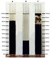 Pisipilt versioonist seisuga 21. oktoober 2012, kell 22:46