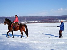 A woman on a bay horse pulls a man on skis