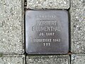 der Stolperstein für Norbert Blumenthal