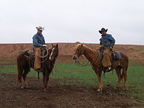 Modern Texas cowboys.