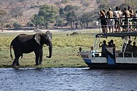 Tourism on Sedudu Island