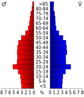 Bevolkingspiramide Dane County