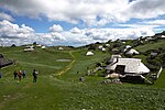 Sličica za Velika planina