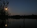 Озеро Великое вечером