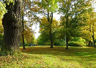 Parken på hösten.