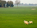 Polder Mastenbroek