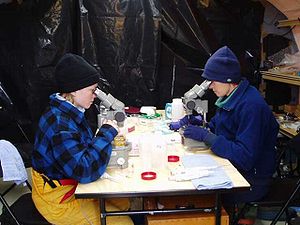 Two researchers studying plankton through micr...