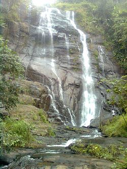 A view from Aruvikkachal.