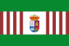 Flag of Salvacañete, Spain