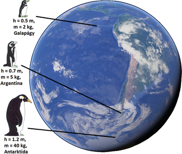 Bergnamovo, pravidlo, zeměkoule, tučňáci