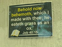 A poster quotes the Book of Job to show Man and dinosaur were created together, a tenet of Young Earth creationism.