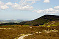 Carlton Bank from south-west