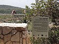 תמונה ממוזערת עבור פורשים כנף - אימוץ הנשרים והדורסים בישראל