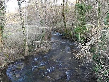 Le Cern au niveau de la rue du Pont des Joncs.