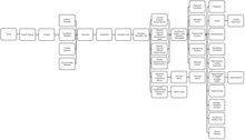 This diagram linearly (unless otherwise mentioned) tracks the projections of all known structures that allow for taste to their relevant endpoints in the human brain. Comprehensive List of Relevant Pathways for the Gustatory System.png