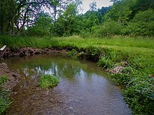 Creek in Pennsylvania which feeds the water in a surrounding freshwater marsh. Creek (fen) in Pennsylvania.jpg