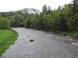 Dead Diamond River.jpg