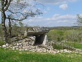 Dolmen des Combes-Hautes