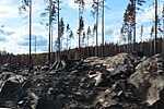 Artikel: Skogsbranden i Västmanland 2014