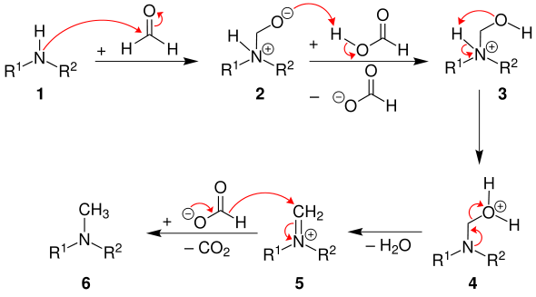 Mechanismus der Eschweiler-Clarke-Methylierung