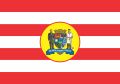 Bandeira de Blumenau