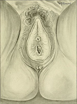 Gynecology - (1918) (14586735088).jpg