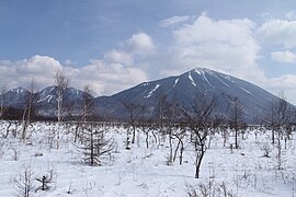 Photo couleur d'une plaine enneigée et plantée d'arbres sans feuilles, avec, en arrière-plan, une chaîne de montagnes parsemées de traînées de neige, sur fond de ciel bleu nuageux.